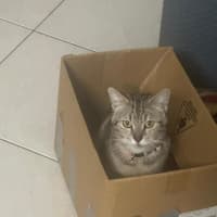 Photo of Angel
