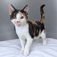 Photo of Milly