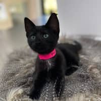 Photo of Einstein (9991)