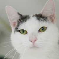 Photo of Mimi