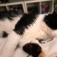 Photo of Dudley Kumara