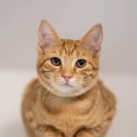 Photo of Velma