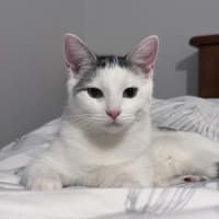 Photo of Mitchi