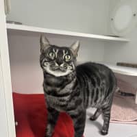 Photo of Clawdia