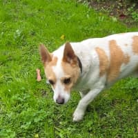 Photo of Charlie