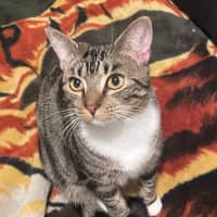 Photo of Cleo