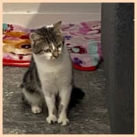 Photo of Edna