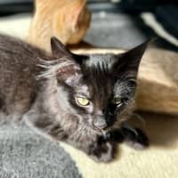 Photo of Nox   Located In Lower Plenty