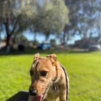 Photo of Lexi 