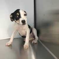 Photo of Novalie (P12)