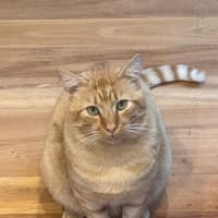 Photo of Pete