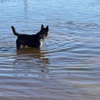 Photo of Storm