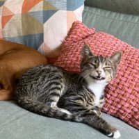 Photo of Your Uncle Kevin