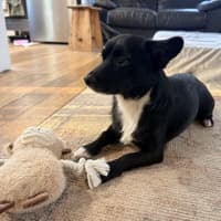 Photo of Charlie
