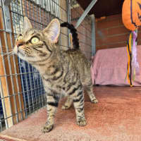 Photo of Jolene!👢