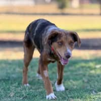 Photo of Ember