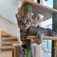Photo of Tabitha