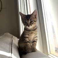 Photo of Lola