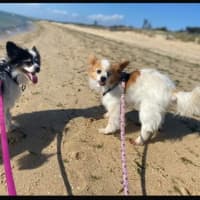 Photo of Zara & Zeke