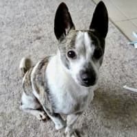 Photo of Sunny And Pj 