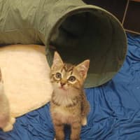Photo of Winnie