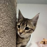 Photo of Tez Nee Sammy