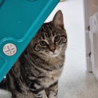 Photo of Fizz