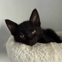 Photo of Elliott 🥥