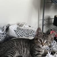 Photo of Odie N Dawn