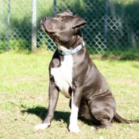 Photo of Nautica