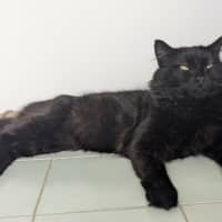 Photo of Big Boy