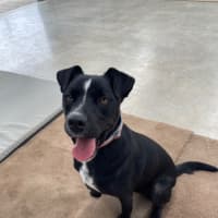 Photo of Storm