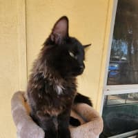 Photo of Phoenix