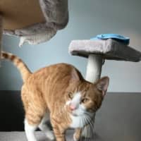 Photo of Owen
