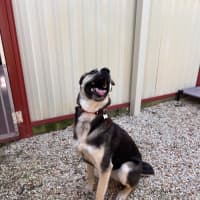 Photo of Pippa