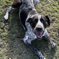 Photo of Roxy