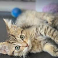 Photo of Twyla