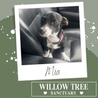 Photo of Mia