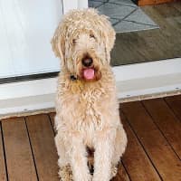 Photo of Marshall Uffelman