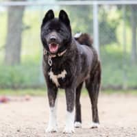 Photo of Kita