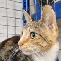 Photo of Bonnie