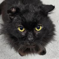 Photo of 🎣 Greg 6702 🎣