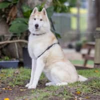 Photo of Zara
