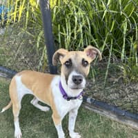 Photo of Elsie