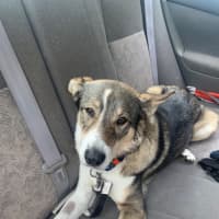 Photo of Snickers