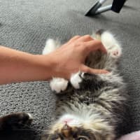 Photo of Leo