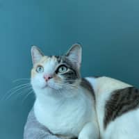 Photo of Seraphina