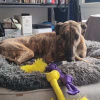 Photo of Hugo
