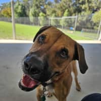 Photo of Taco