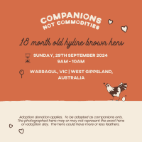 Photo of 🚨 Urgent: Rescue Hens From An Egg Farm 🫶